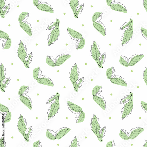 Basil pattern