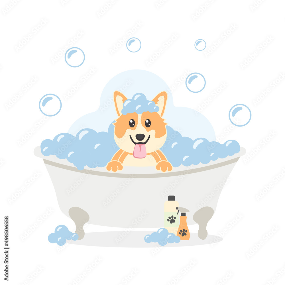 Dog bath. Poster for grooming salon. Cute design. Dog bath. Poster for grooming salon. Cute design.