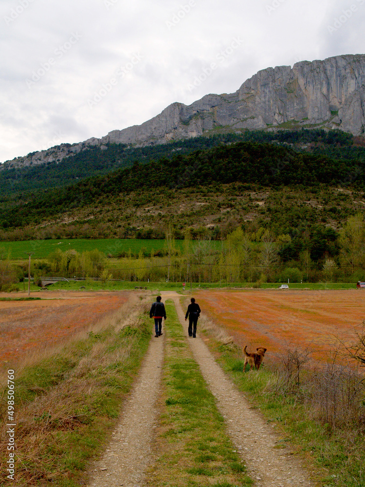 Obraz premium dos caminantes en un paisaje alavés. Basque Country