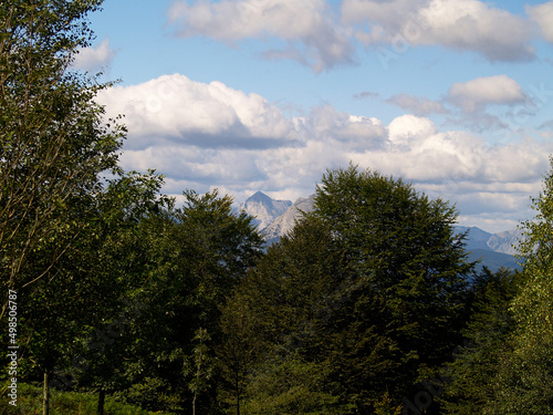 Monte Udalatx y bosque. Basque Country photo