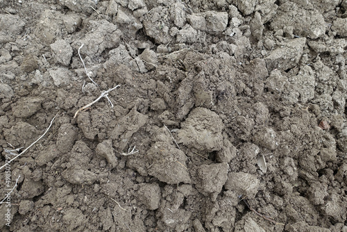 aeration-digging of the soil for planting the garden area with a digging shovel,