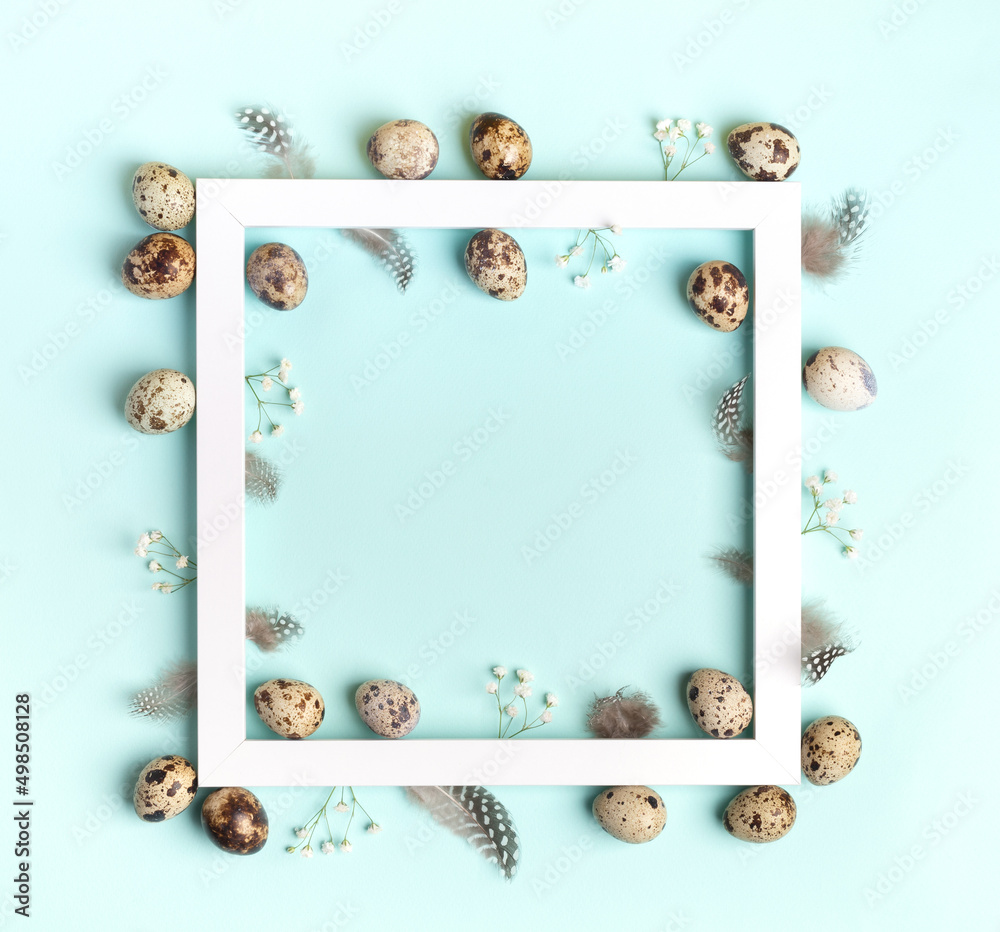 Fototapeta premium White square frame with quail eggs, feathers, white gypsophila flowers on light blue. Easter card.
