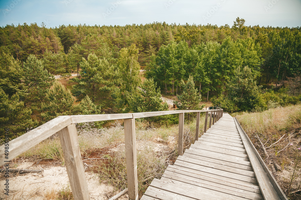 Staircase from the beach to the pine forest in the Curonian Spit