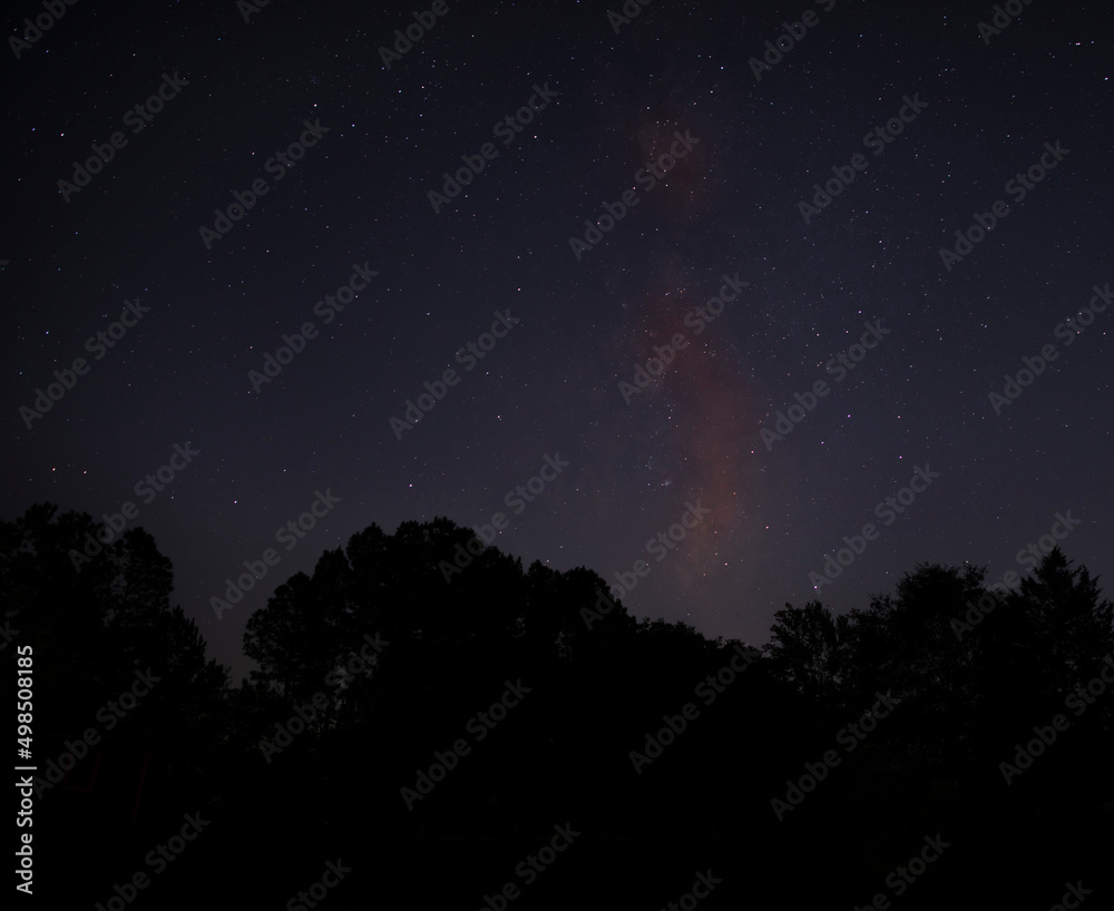 Milky Way and stars silhouetting a forest