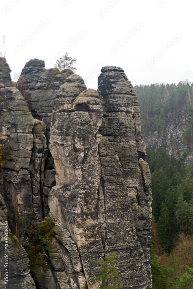 Czech Saxony. Rocks and mountains. Landscape , nature. View of park and forest , bridge.
