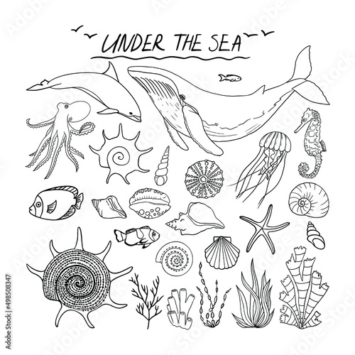 Vector set of sea animals and plants.