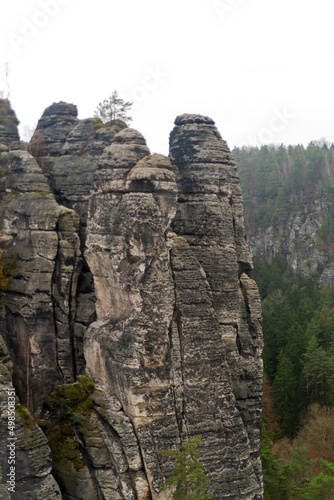 Obraz na płótnie Czech Saxony. Rocks and mountains. Landscape , nature. View of park and forest , bridge. w salonie