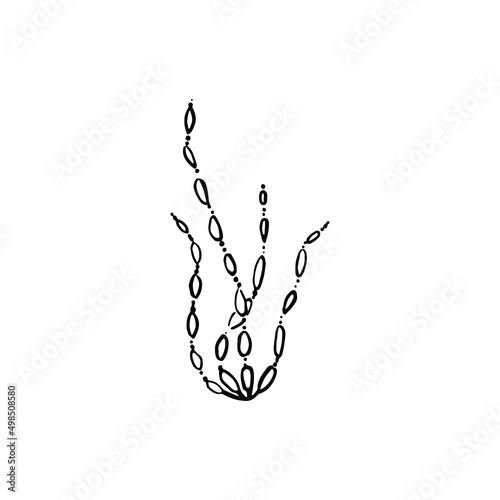 Single vector element isolated on white background. Seaweed