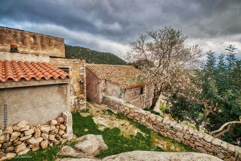 Scorcio di Lollove (Nuoro) - Sardegna