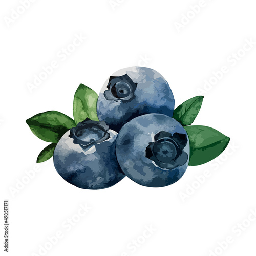 Juicy watercolor blueberries. Vector Illustration for a cookbook, ingredients of recipes, advertising, cards for children and botanical magazines. Natural and organic.