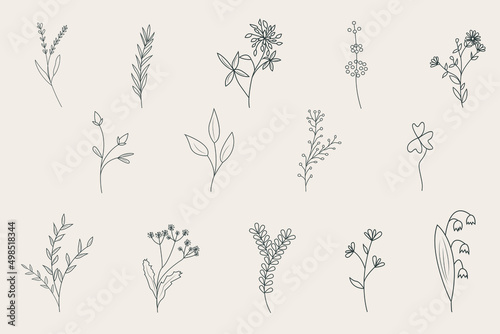 Elegant set of herbs and wildflowers. Hand drawn floral branch. Vintage wedding botany. Vector illustration of plants, grass and flowers in a rustic style.