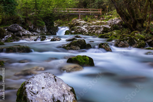 Waterscape clean water - Sunikov Vodni Gaj Slovenia photo