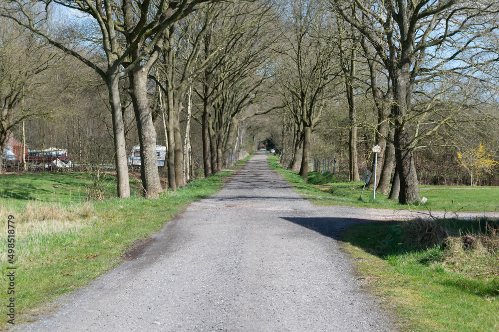 country road in the park