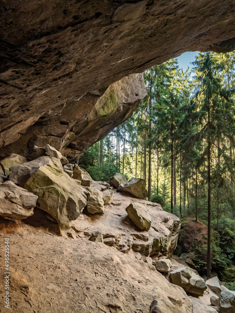Halbenweg in der Sächsischen Schweiz - Wald und Gautschgrotte Halbenweg in der Sächsischen Schweiz - Wald und Gautschgrotte