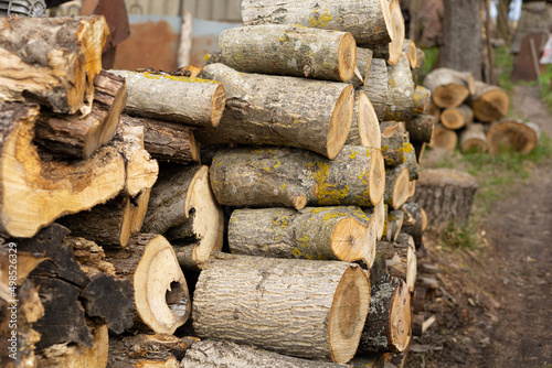 firewood lies on the ground with selective focus
