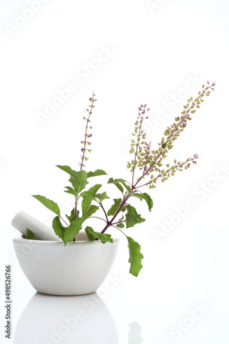 "king of herbs" Basil in a mortar with pestle. Basil is native to India and Ayurvedic medicinal herb Medicinal holy basil or tulsi leaves on a mortar with pestle © SMD IMAGES