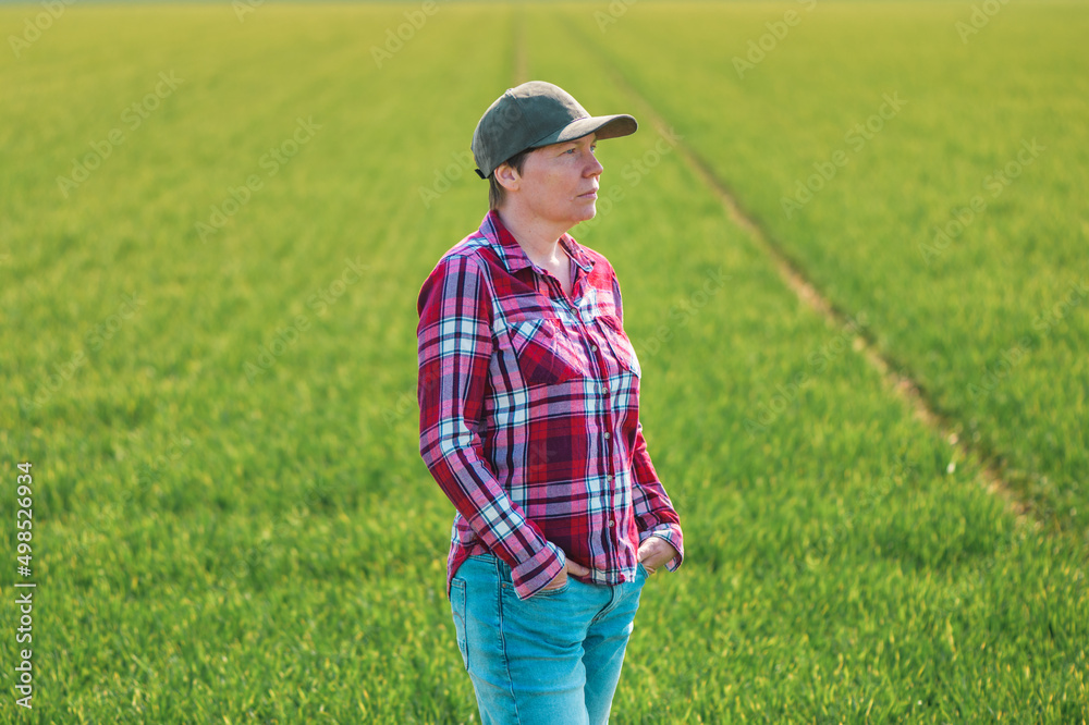 Portrait of female farmer in cultivated wheat seedling field Portrait of female farmer in cultivated wheat seedling field