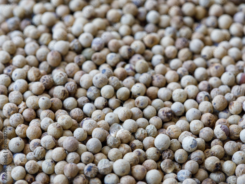 heap of dried white pepper peppercorns (dried ripe piper nigrum fruits). closeup full frame, food backgound, copy space heap of dried white pepper peppercorns (dried ripe piper nigrum fruits). closeup full frame, food backgound, copy space