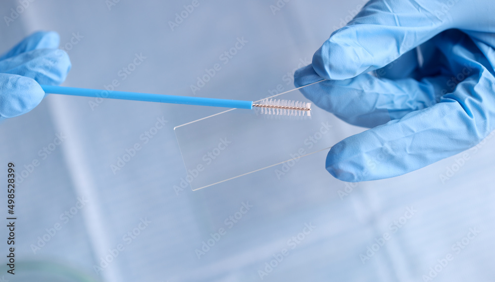 Instruments for gynecological examination and analysis closeup Instruments for gynecological examination and analysis closeup