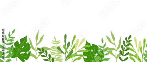 Obraz na plátně Green border with plants and leaves