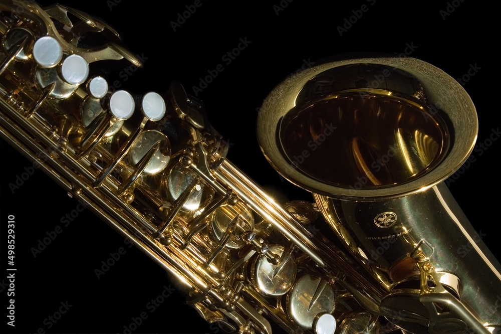 Fototapeta premium Saxophon
