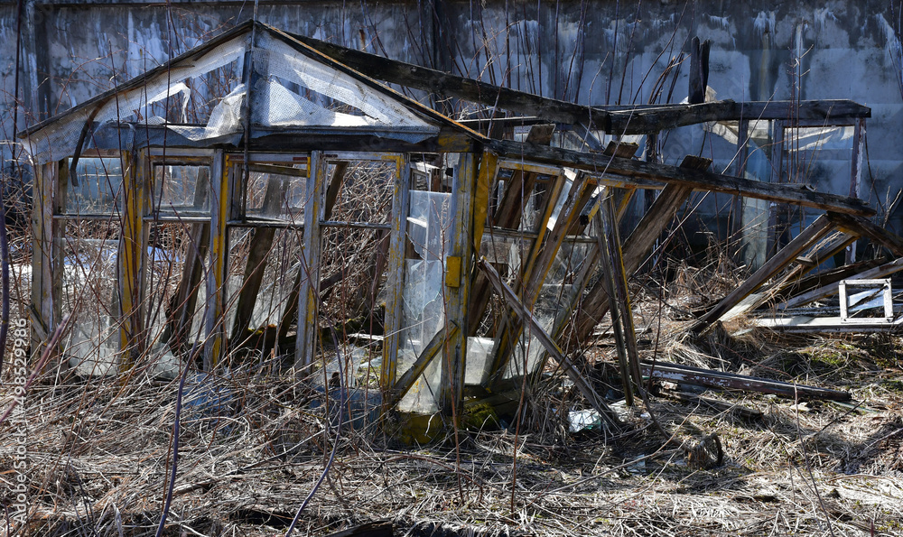 a broken wooden greenhouse in an abandoned summer cottage or in the village in early spring among last year's dry grass a broken wooden greenhouse in an abandoned summer cottage or in the village in early spring among last year's dry grass