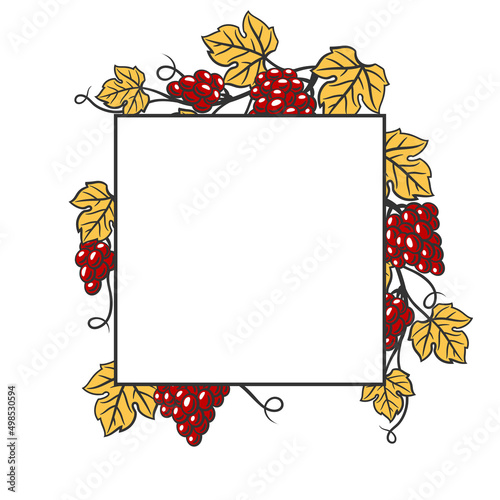 Background of vine with leaves and bunches of grapes. Winery image for restaurants and bars.