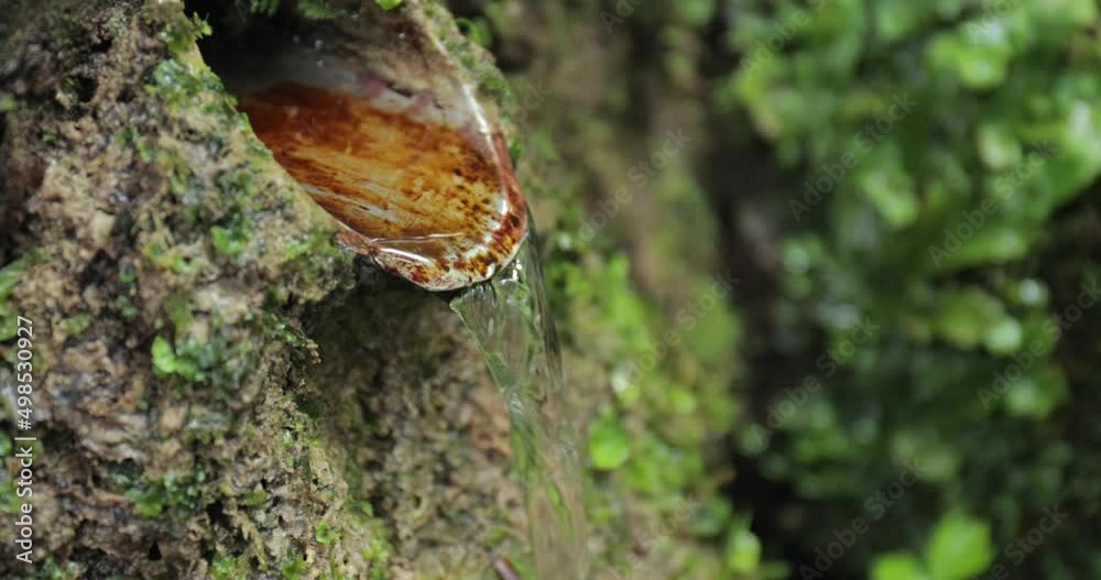 Fresh spring water flowing