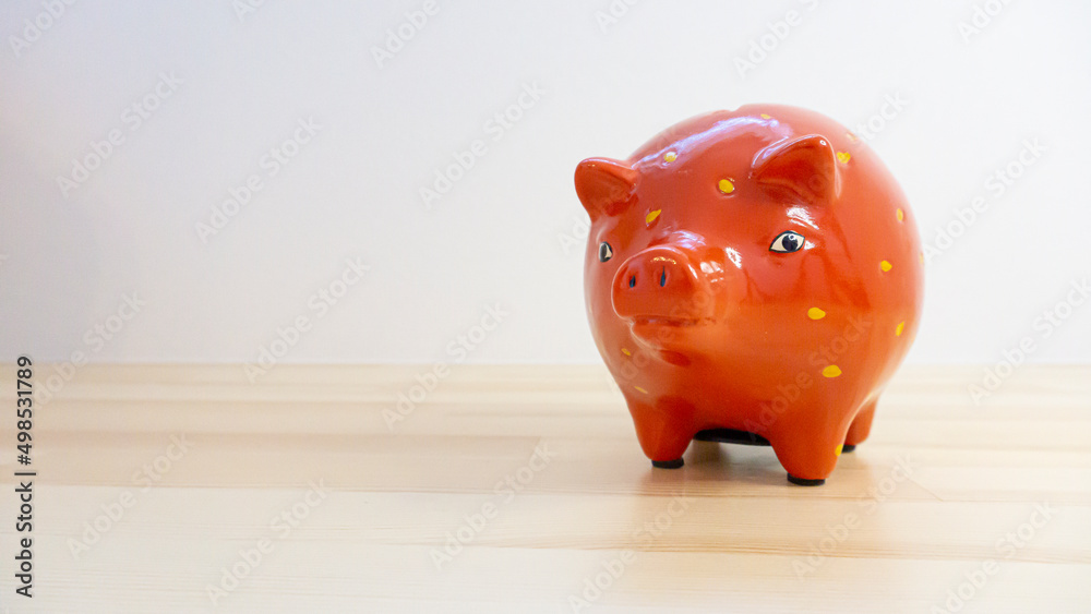 Fototapeta premium Colorfully designed piggy bank_03