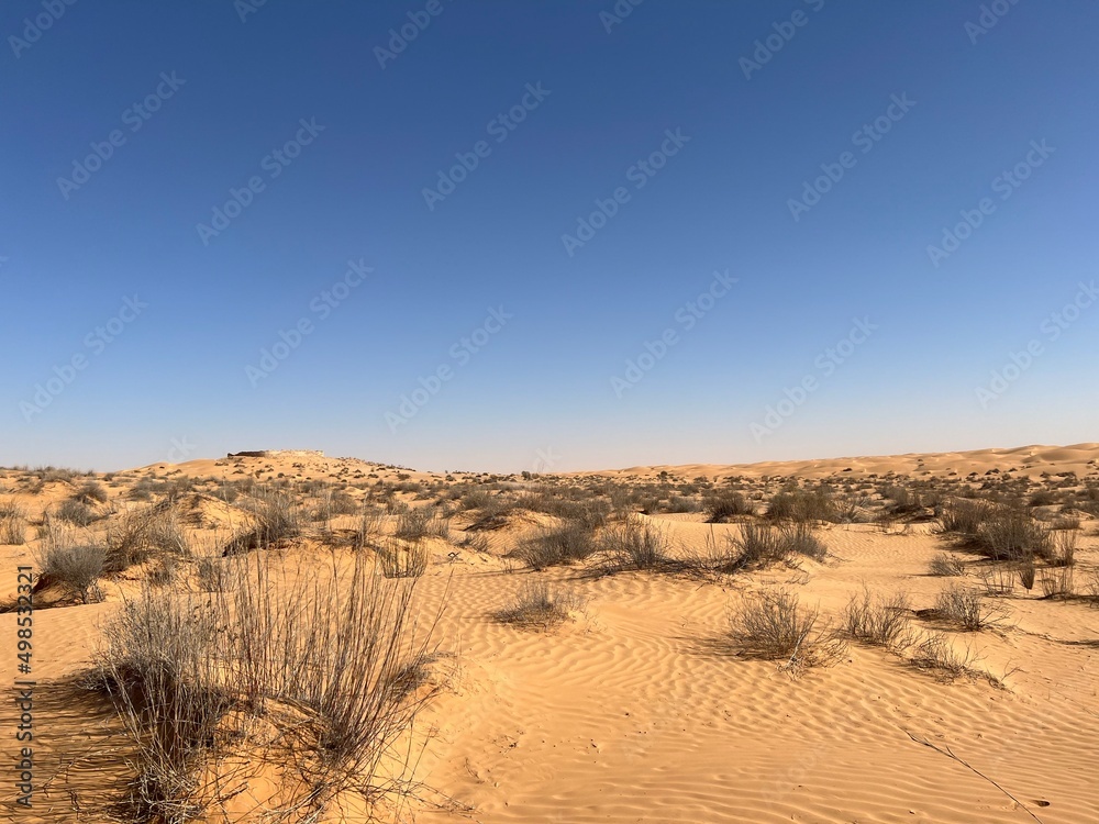 sand dunes in park