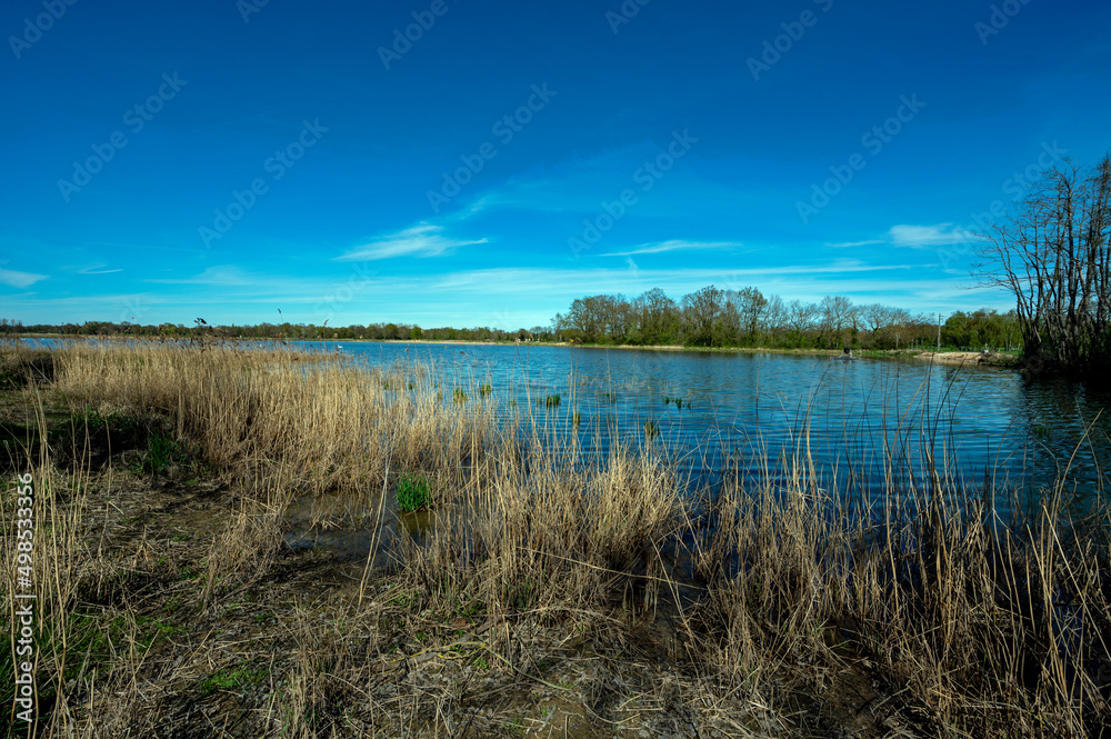 Paysage des étangs de La Dombes dans le département de l'Ain en France au printemps