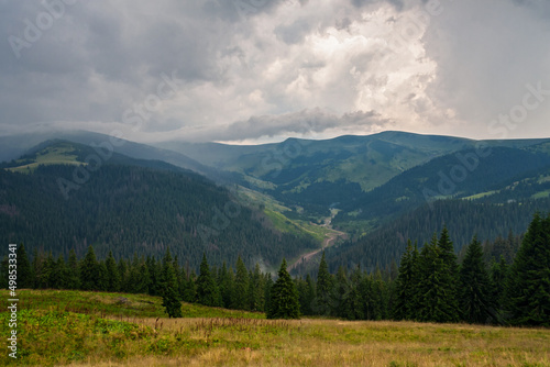 Mountain peaks overlooking the valley and the forest  in cloudy weather. Ukraine  Carpathians
