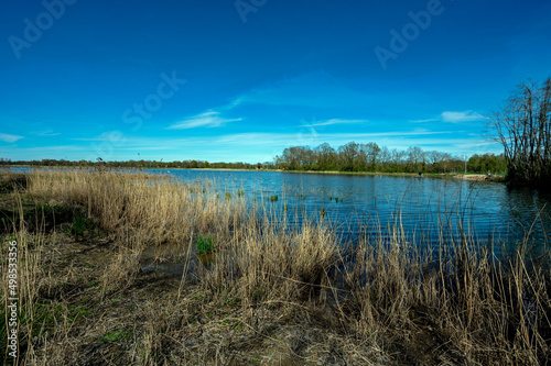 Paysage des étangs de La Dombes dans le département de l'Ain en France au printemps © michel