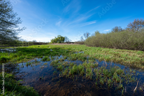 Paysage des étangs de La Dombes dans le département de l'Ain en France au printemps