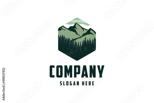 mountain with pine tree logo template vector illustration.