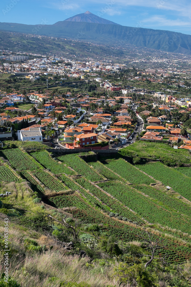 Vista del Valle de La Orotava con terrazas de cultivo y urbanizaciones residenciales en el norte de la isla de Tenerife