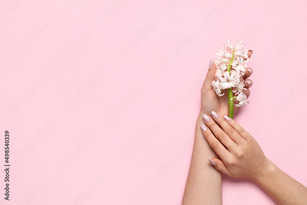 Female hands with beautiful hyacinth flowers on pink background