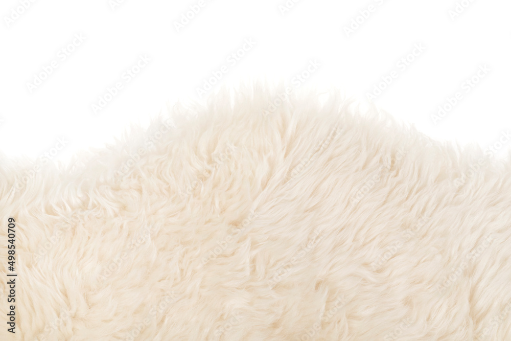 Beige fluffy wool texture isolated white background. white natural fur texture. close-up for designers Beige fluffy wool texture isolated white background. white natural fur texture. close-up for designers