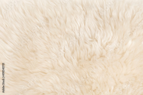 beige fluffy wool texture background. white natural fur texture. close-up for designers