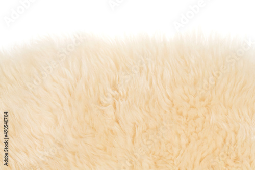 Beige fluffy wool texture isolated white background. white natural fur texture. close-up for designers