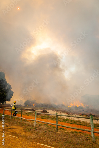A controlled burn takes place in Tokai forest to help prevent further fires in the area. Tokai, Cape Town.