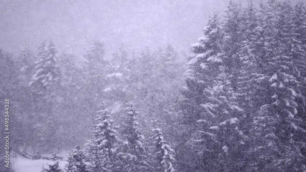 custom made wallpaper toronto digitalseamless loop of heavy snow falling against trees in background