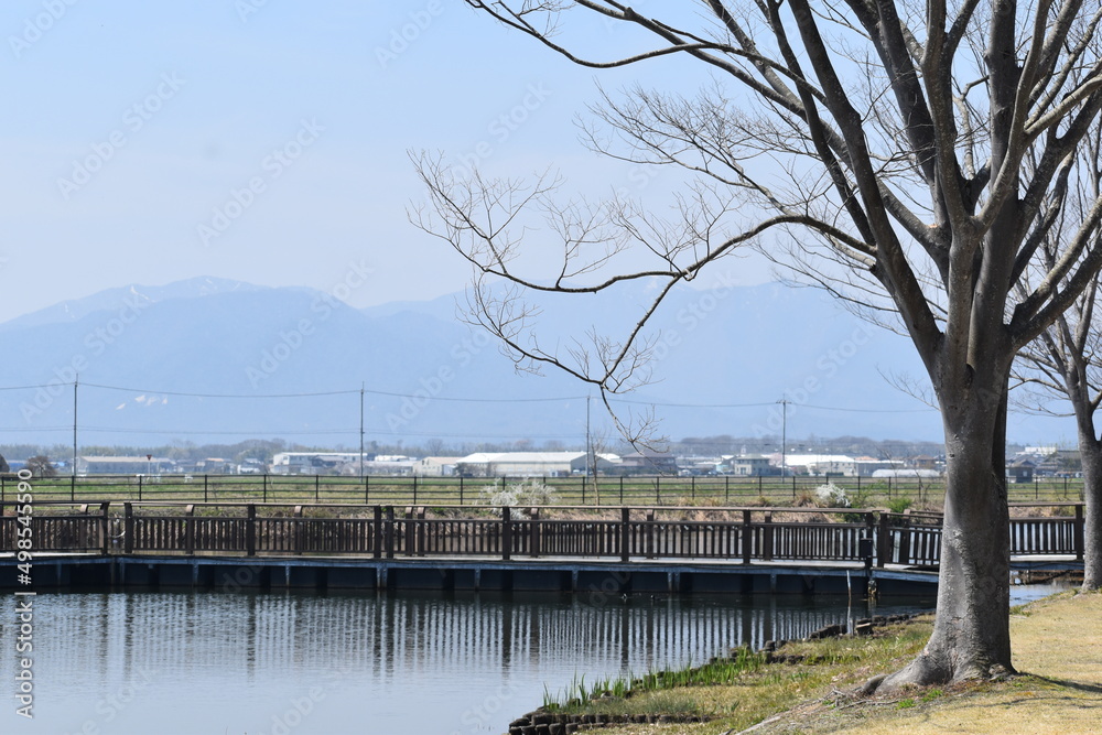 琵琶湖,びわ湖,Biwa lake,日本の風景,滋賀県,湖,波