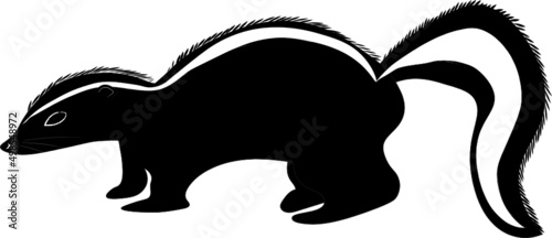 Canvastavla Illustration of a Skunk