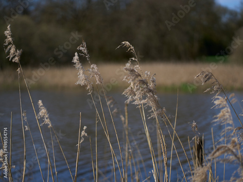 lac de grand-lieu
