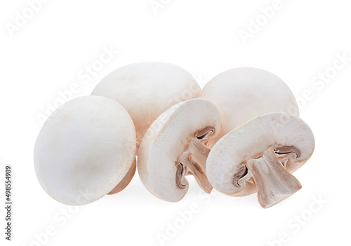 Champignon mushroom isolated on white background