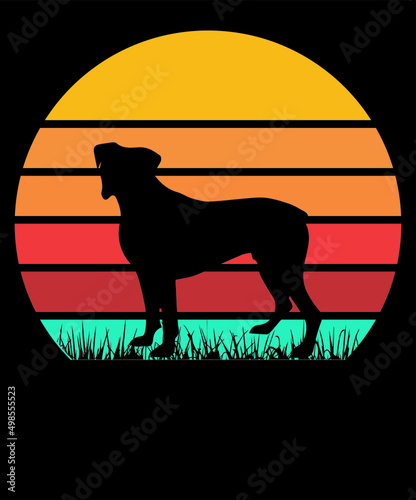dog silute photo
