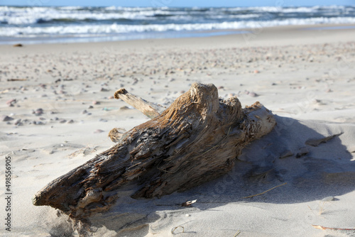 Billede på lærred Sandy beach on the Curonian Spit