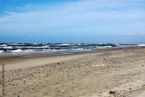 Fotografi Sandy beach on the Curonian Spit
