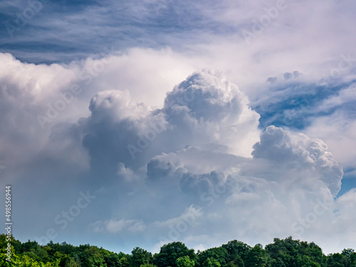 Massive rain cloud, Cumulus congestus, in the blue sky over the treetops © Pavel Rumlena